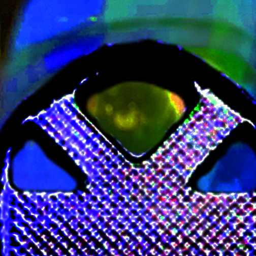 DSGD100P1